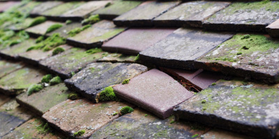 Llwynhendy roof repair costs